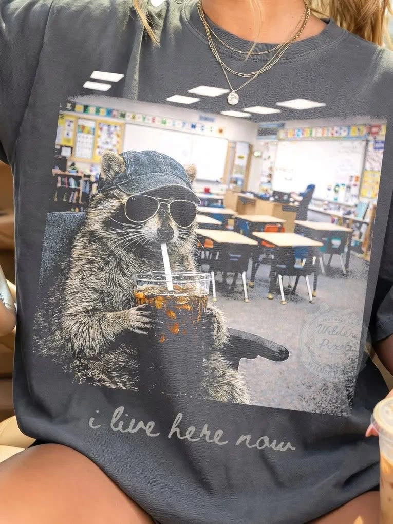 I live here now classroom soda